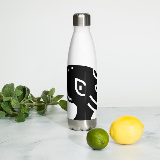 Stainless steel water bottle